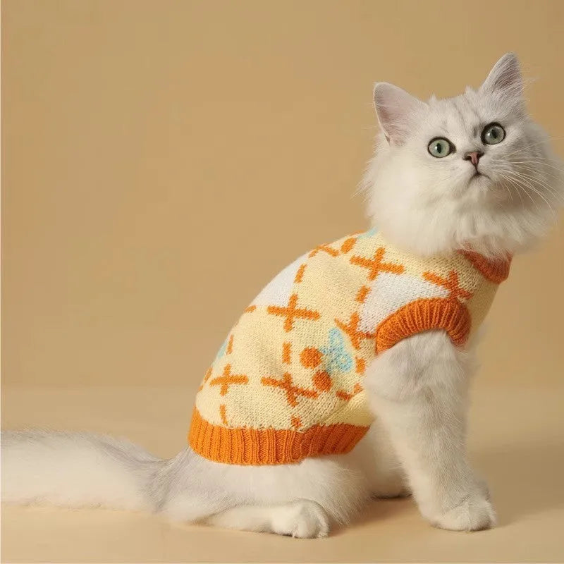 Orange cherry coloured cat sweater for autumn and winter wear