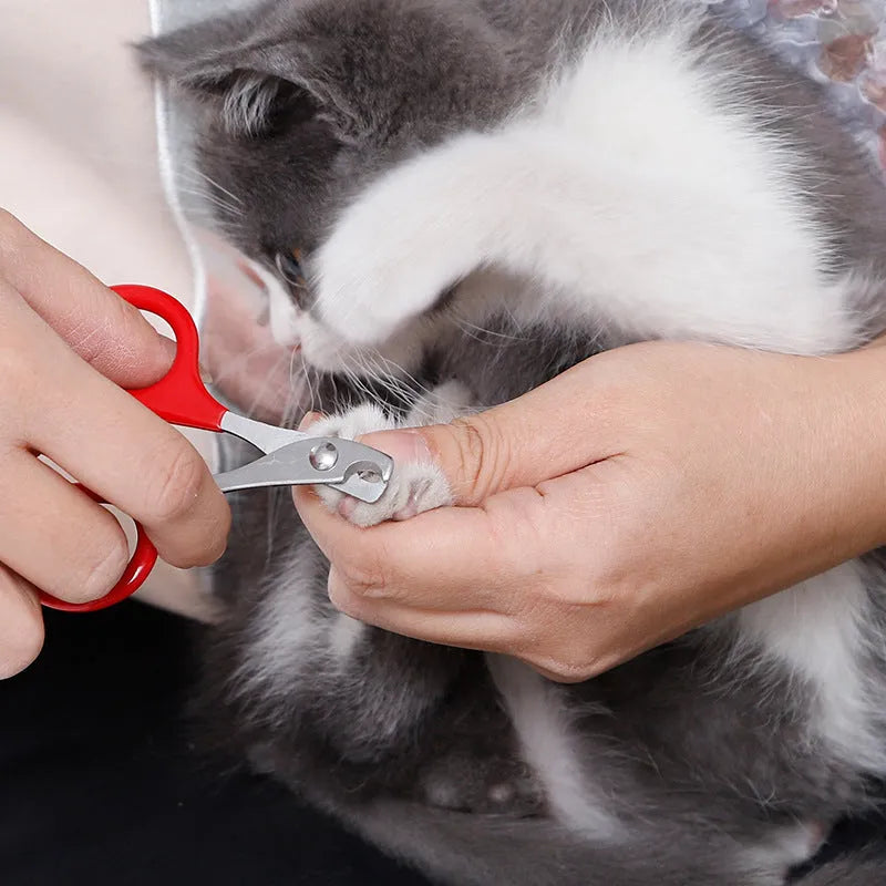 Professional pet nail clippers with stainless steel blade and coloured rubber-grip handle for dogs and cats