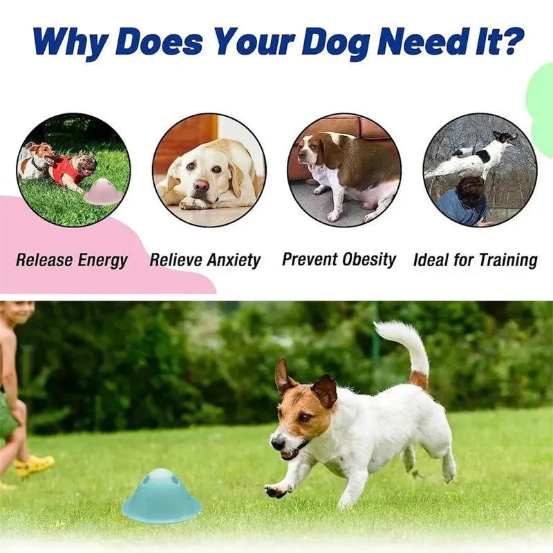 PP material interactive dog puzzle toy with hidden treat slots measuring 140x140x70mm