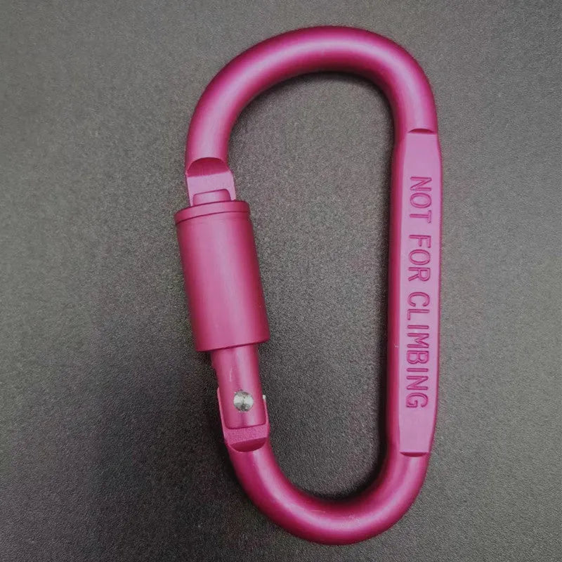 Silver D-shaped aluminium locking carabiner on a grey background.
