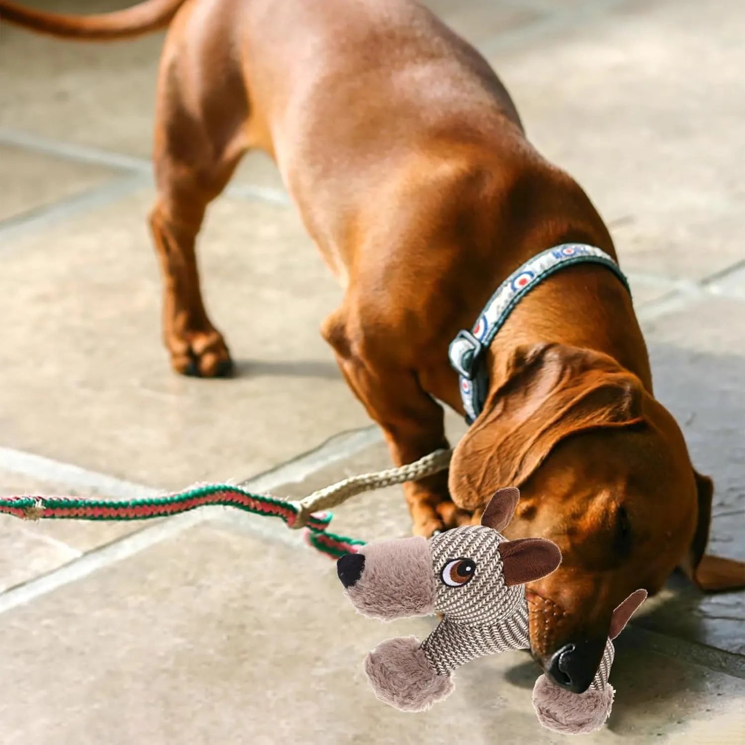 Monkey and puppy design plush dog toys with squeakers for large dogs