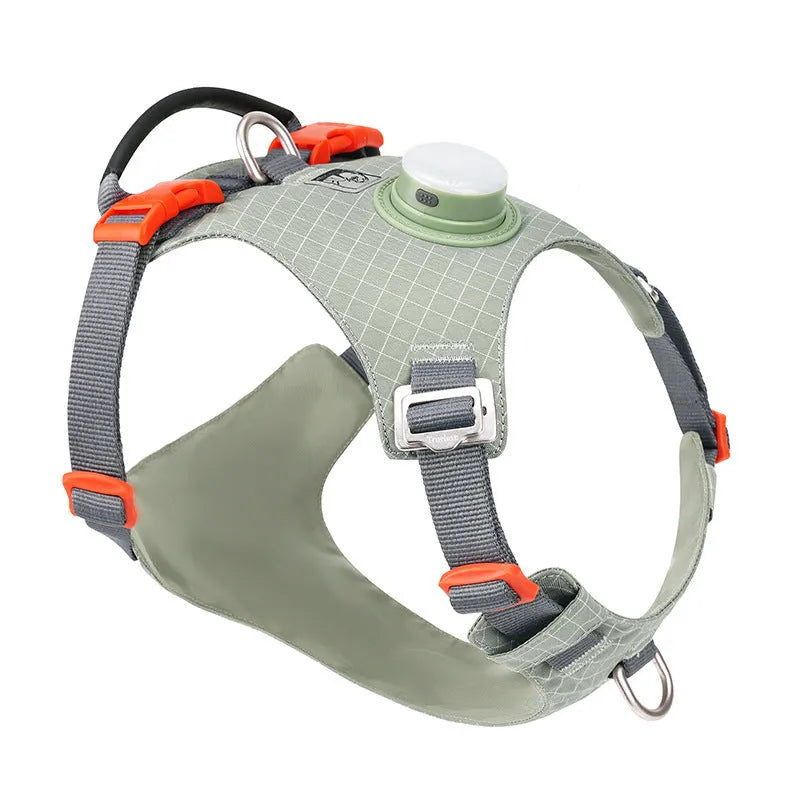 LED dog chest harness with night light in six colour options on adjustable nylon straps