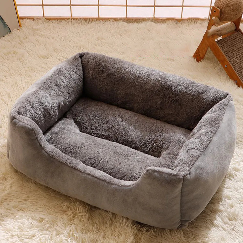Soft grey short plush cat bed for a sleeping kitten