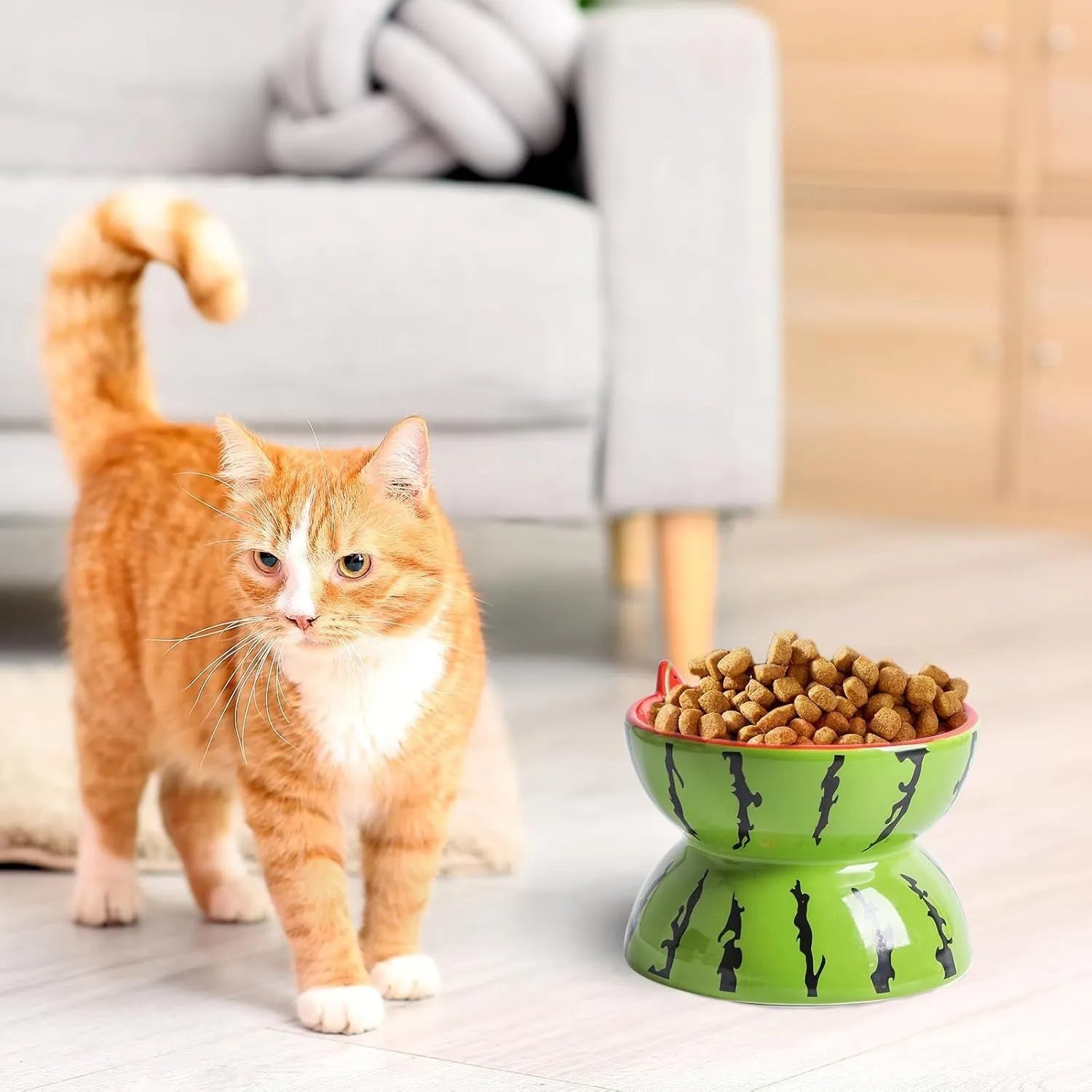 Ceramic raised cat feeding bowl with tilted design in orange colour pattern
