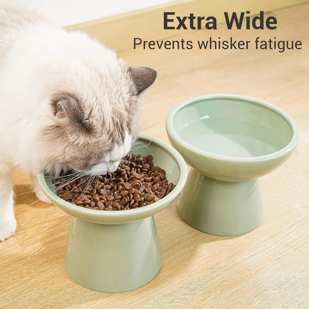 Ceramic elevated cat food bowl set in blue green pink or white colours with wide shallow design