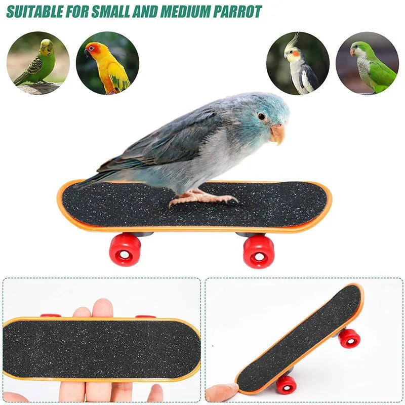 Wooden parrot puzzle toy set for small to medium birds with interactive foraging design
