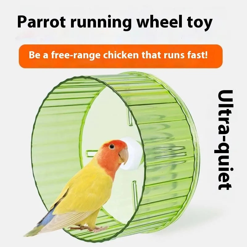 A plastic parrot running wheel toy for bird cages, shown in a transparent colour option.