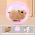 Universal hamster rolling ball with interchangeable plush shells in beige, pink, white, and yellow designs