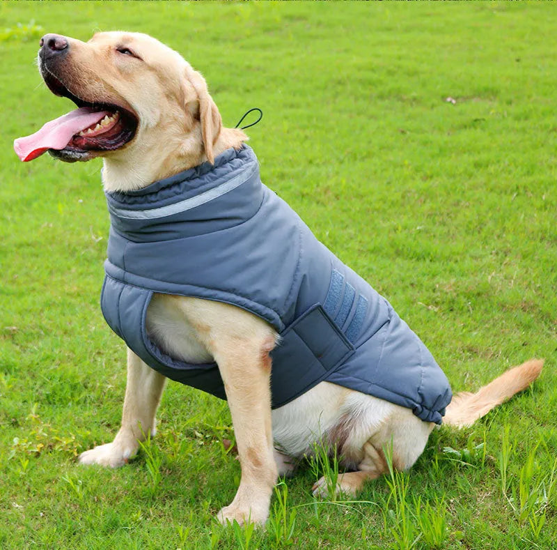 Grey waterproof warm dog trench coat for Corgi, back length 48 cm size L, on white background