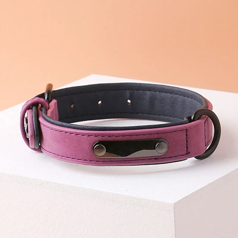 Adjustable dog collar with double-layer thickened construction in purple, blue, green, pink, or brown