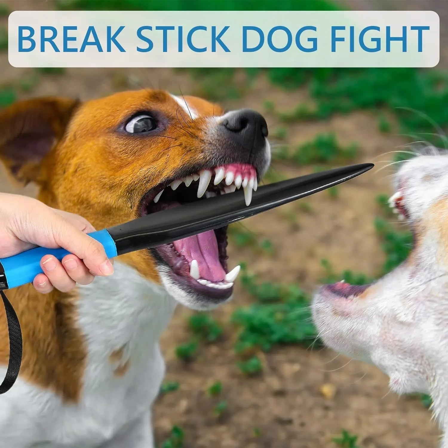 Blue handled nylon dog break stick measuring 35cm for training small and medium dogs.