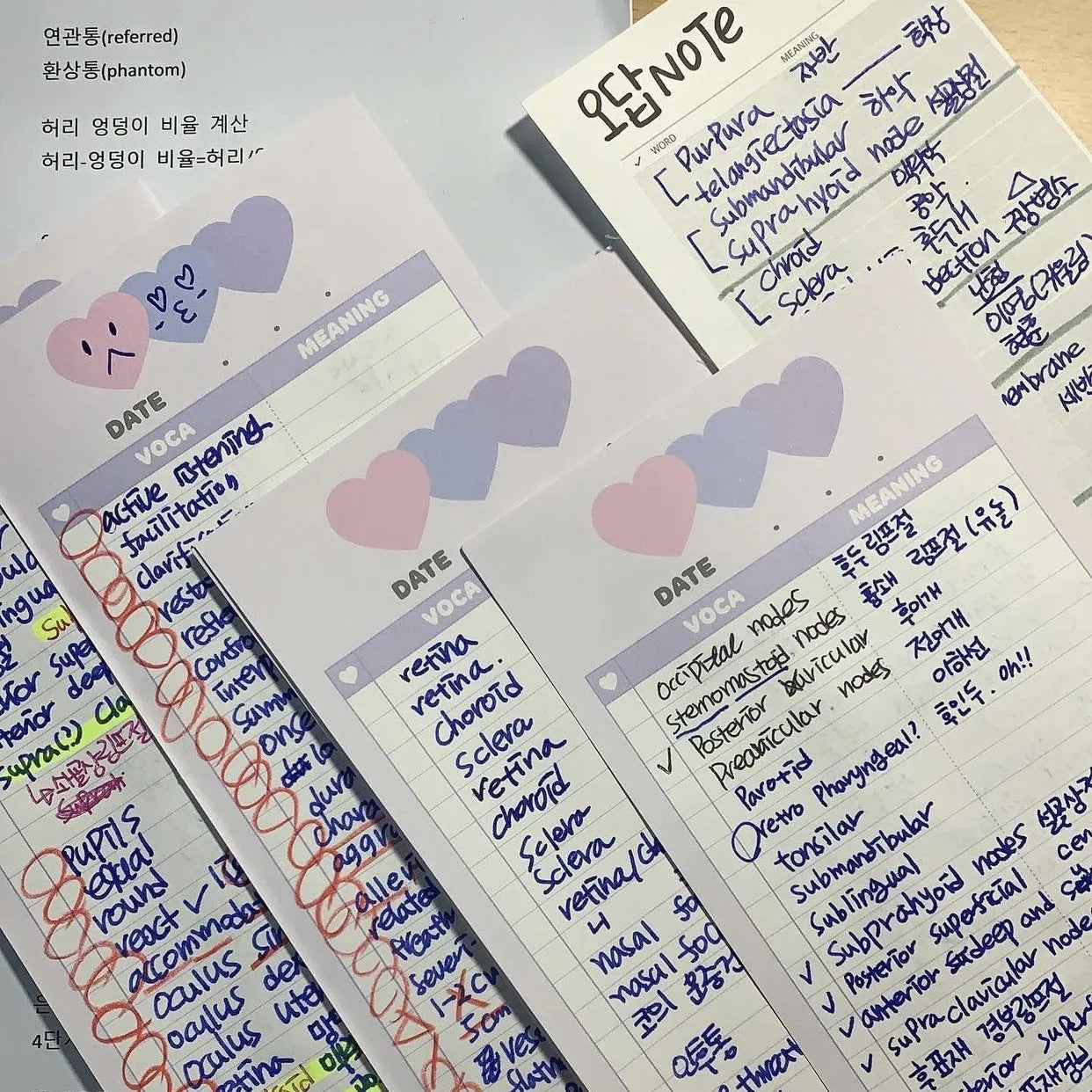 Vertical B5 half-size notepad with English words printed on paper, shown in pink, purple, and blue cover colours.