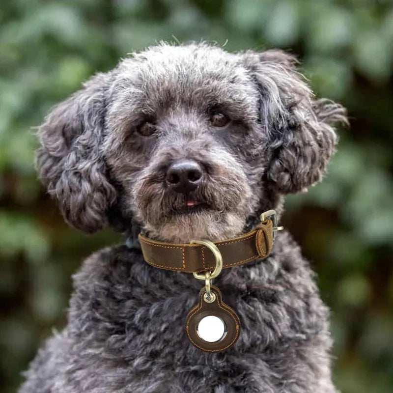 Brown handmade leather dog collar with retro styling and halter positioning for tracking
