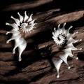Three-dimensional matte conch stud earrings in alloy with irregular shape