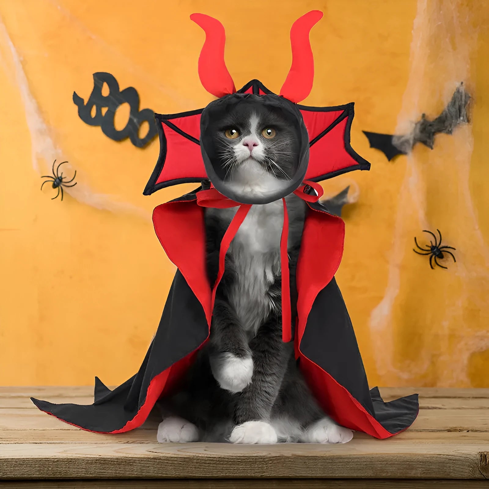 Black polyester vampire cloak and hat Halloween costume for a dog or cat on a white background.