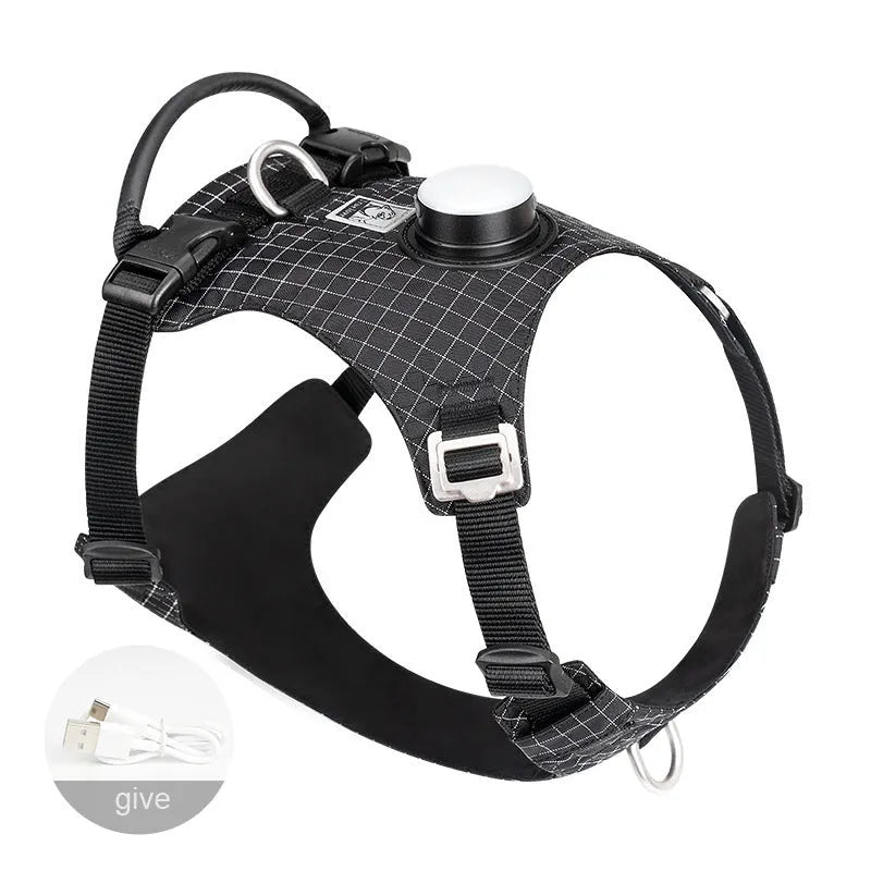 LED dog chest harness with night light in six colour options on adjustable nylon straps