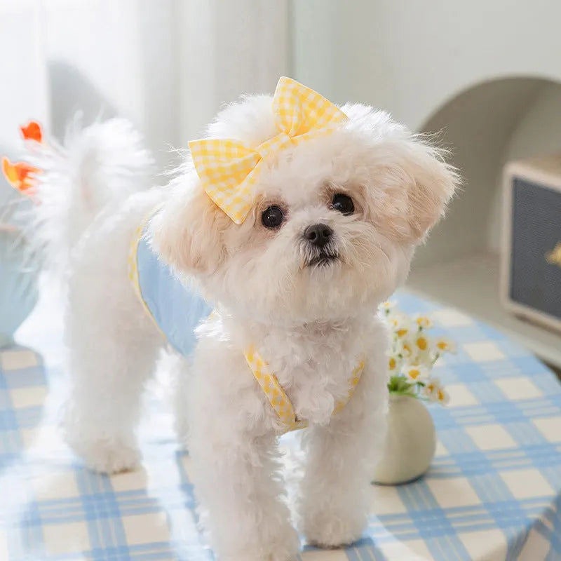 Small dog wearing a blue vest with heart texture and bow suspenders, showing adjustable elastic sides.
