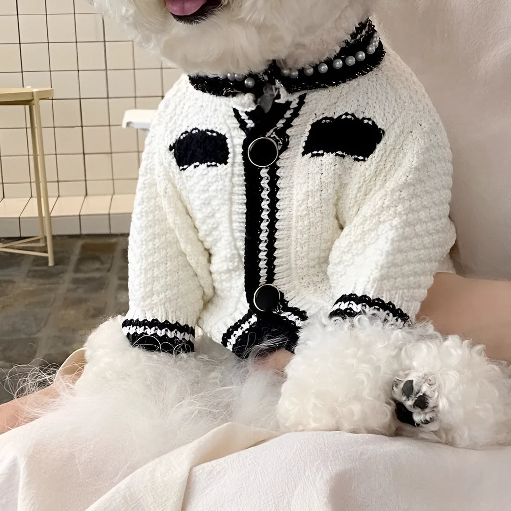 Korean style white dog sweater with pearl collar on a small dog, showing princess cut and lightweight polyester fabric.