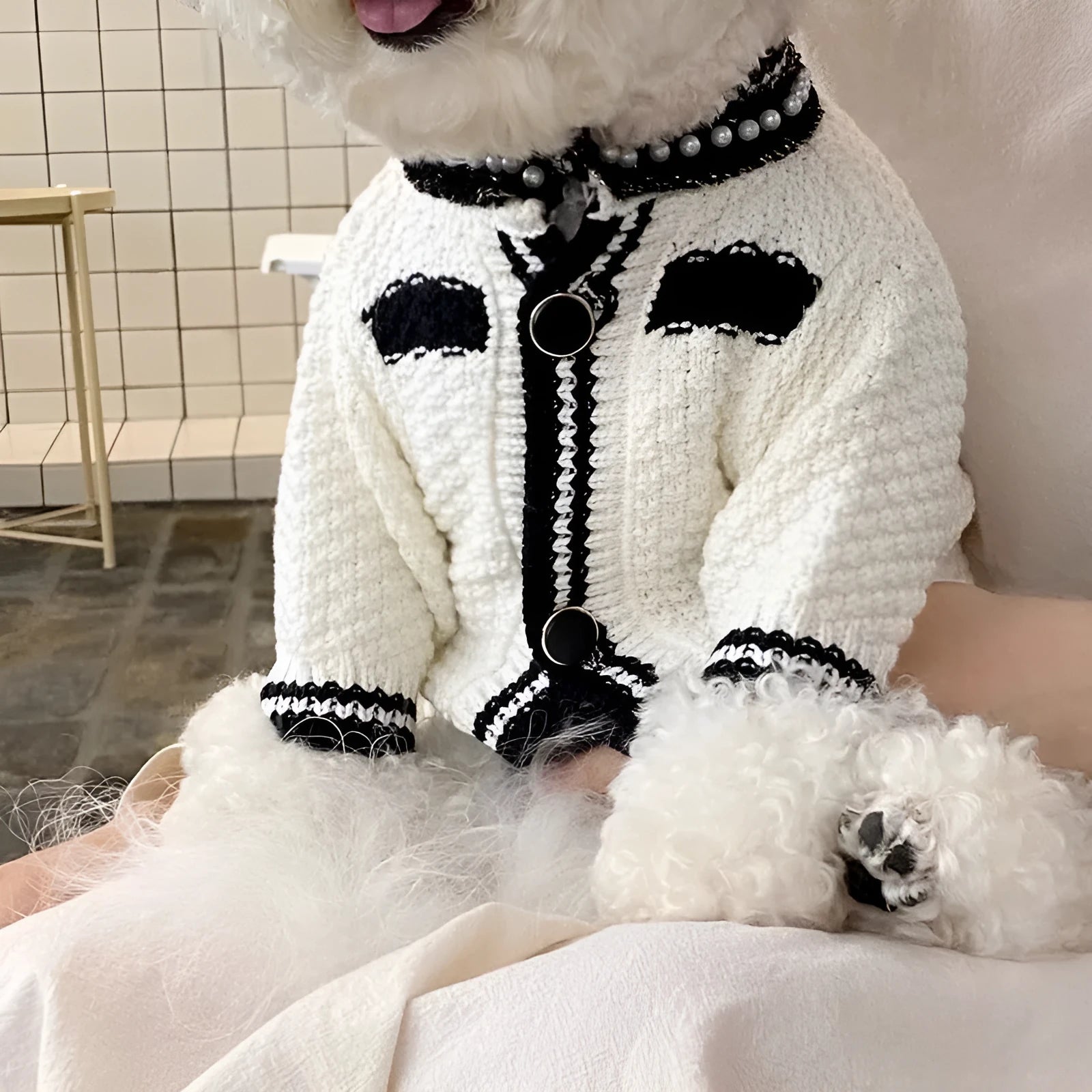 Korean style white dog sweater with pearl collar on a small dog, showing princess cut and lightweight polyester fabric.