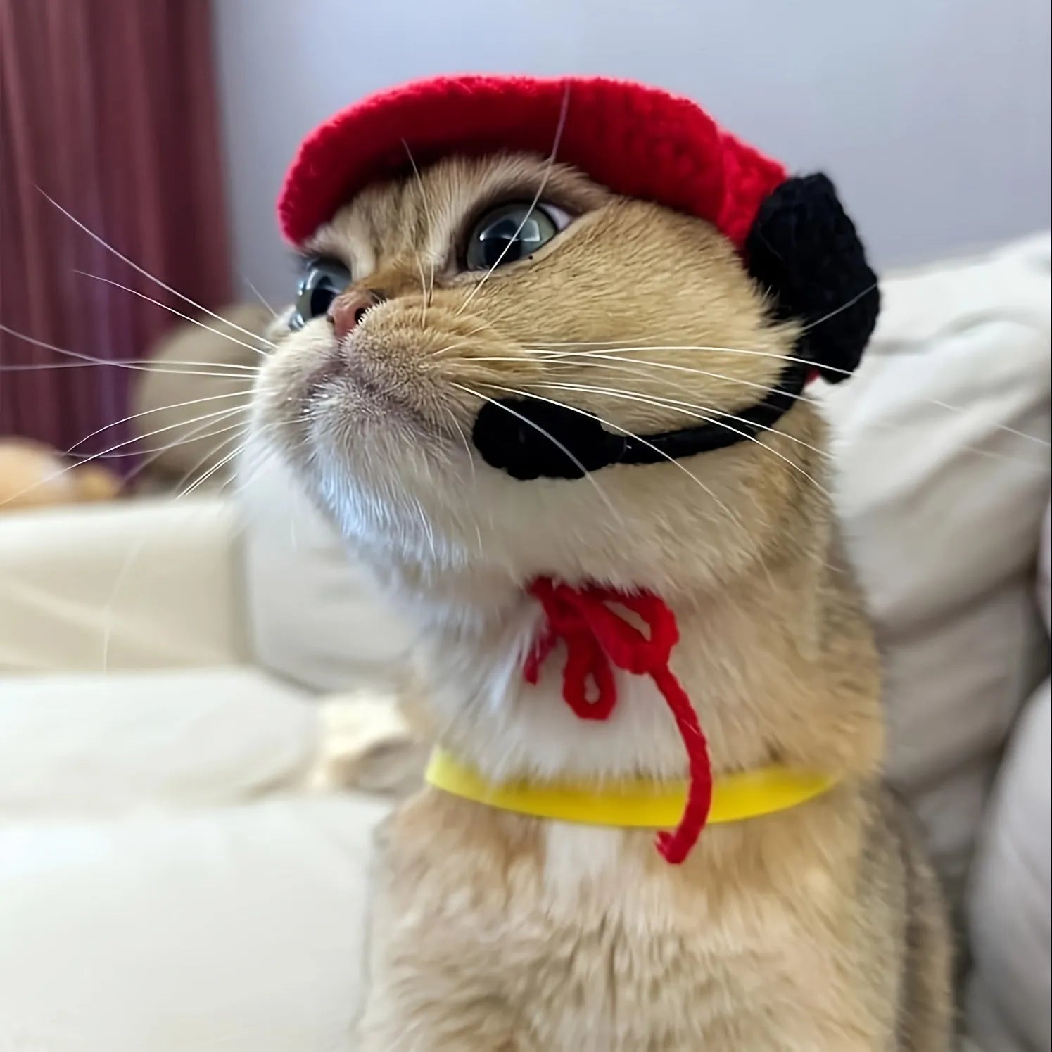 Handmade knitted cotton chef costume sweater and hat on a small cat or dog.