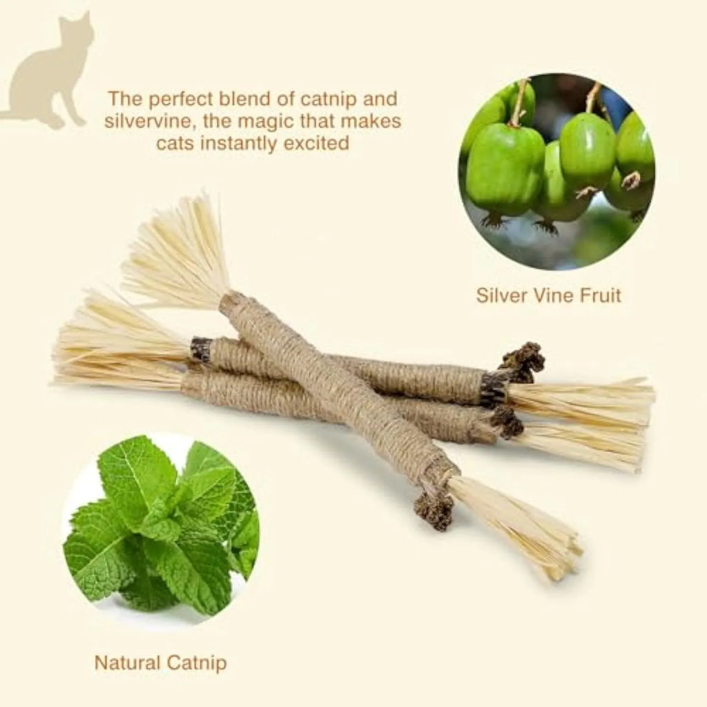 Three natural silvervine chew sticks for cats on a wooden surface.