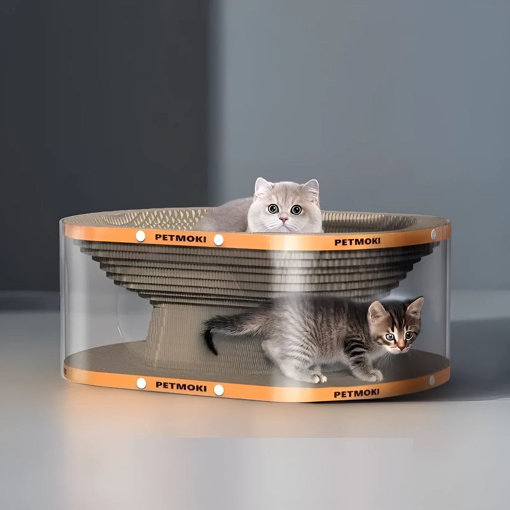 Transparent PVC tunnel attached to a white corrugated cardboard scratch board for cats