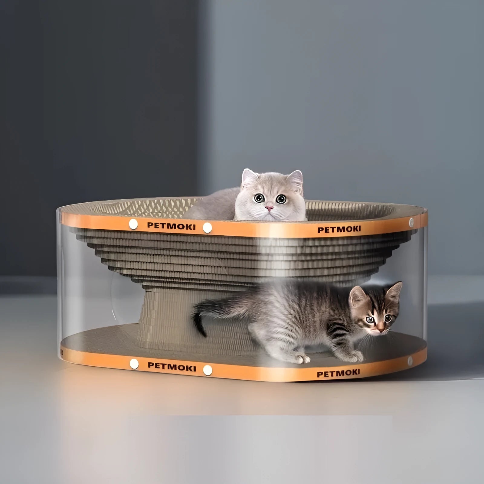 Transparent PVC tunnel attached to a white corrugated cardboard scratch board for cats