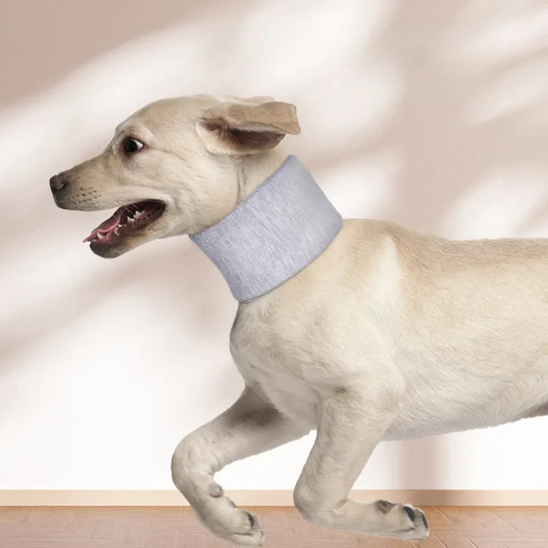 Soft grey recovery cone collar for cats and dogs with size measurement chart