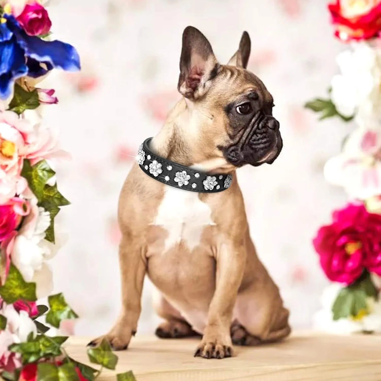 A black PU leather dog collar with glittering rhinestone flower studs and a metal D-ring.