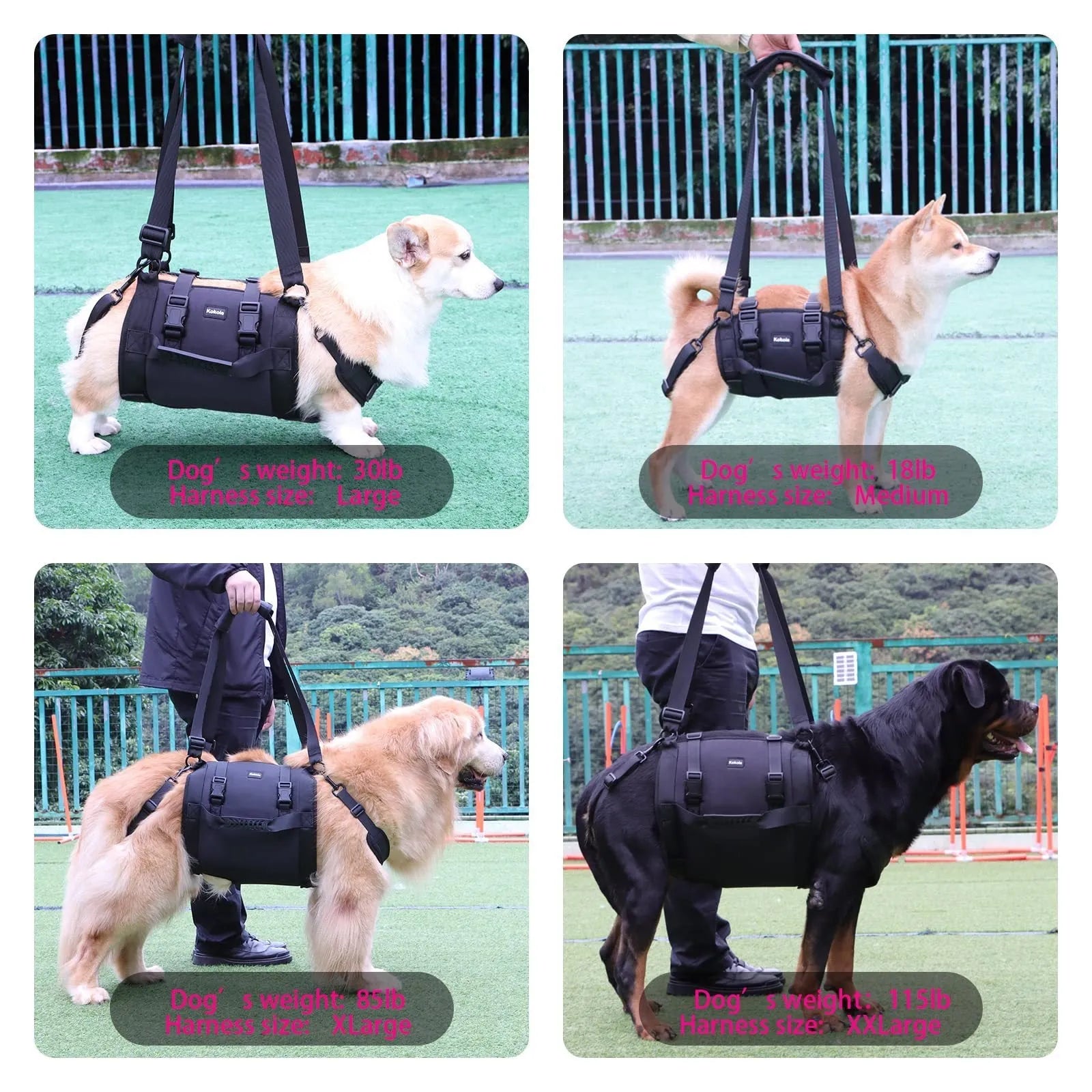 Black Oxford cloth dog rehabilitation harness with adjustable chest strap for leg support