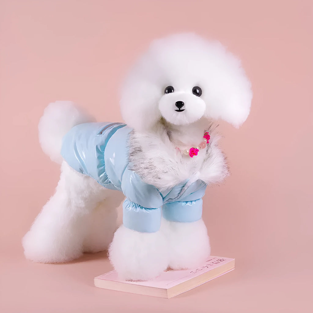 British-style blue cotton dog jacket for autumn and winter warmth on a pet