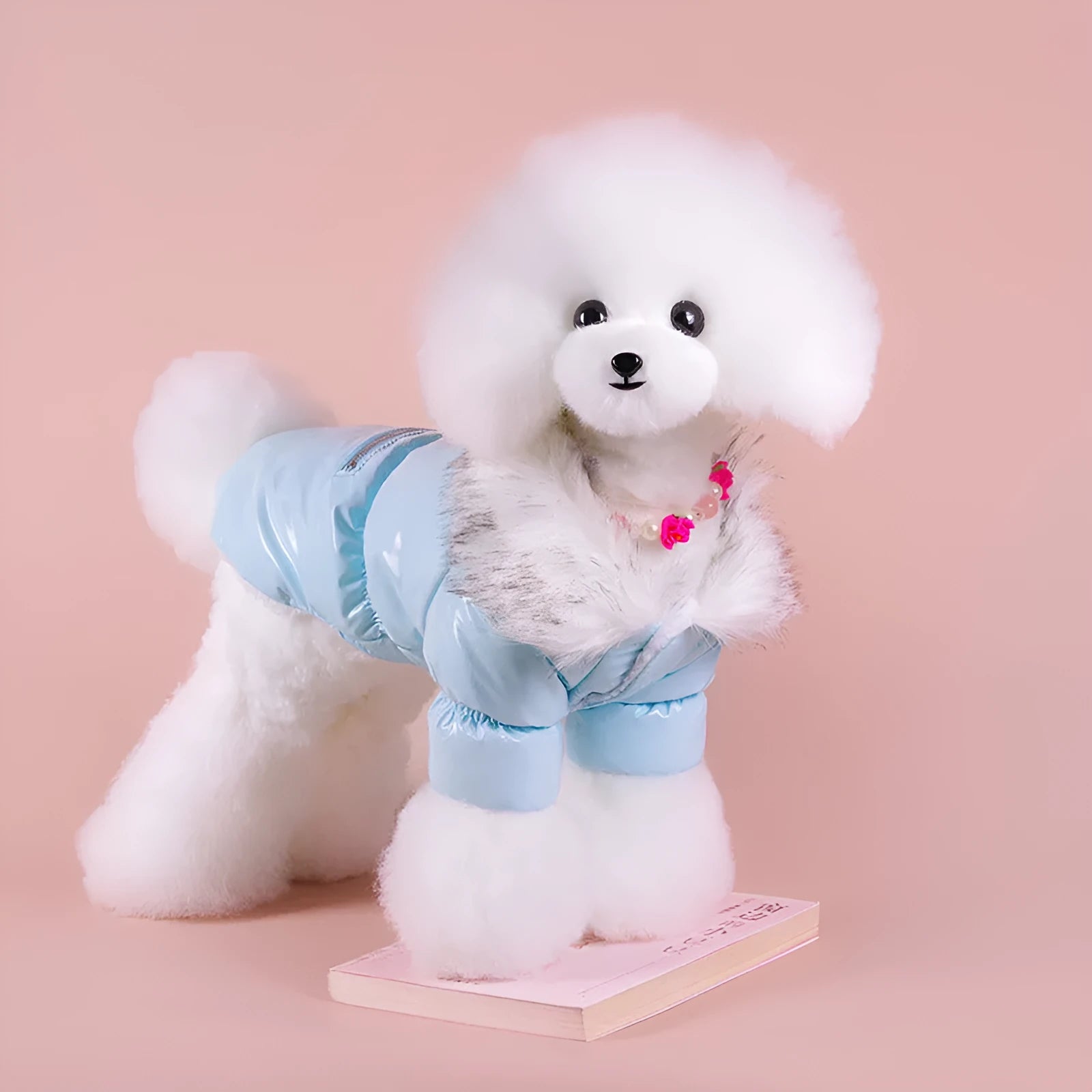 British-style blue cotton dog jacket for autumn and winter warmth on a pet