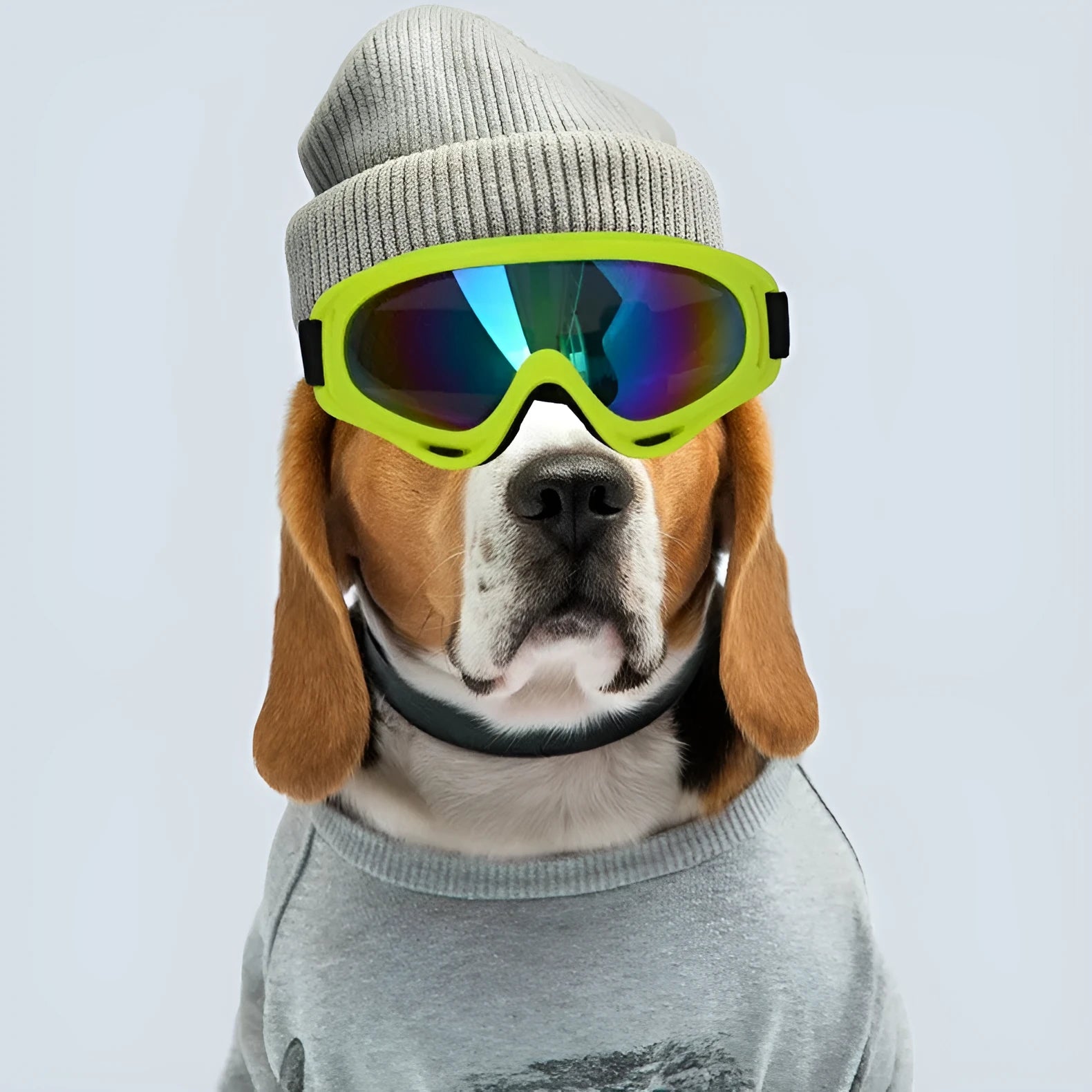 Outdoor dog sunglasses with black frame and PC lens in khaki colour for sun protection