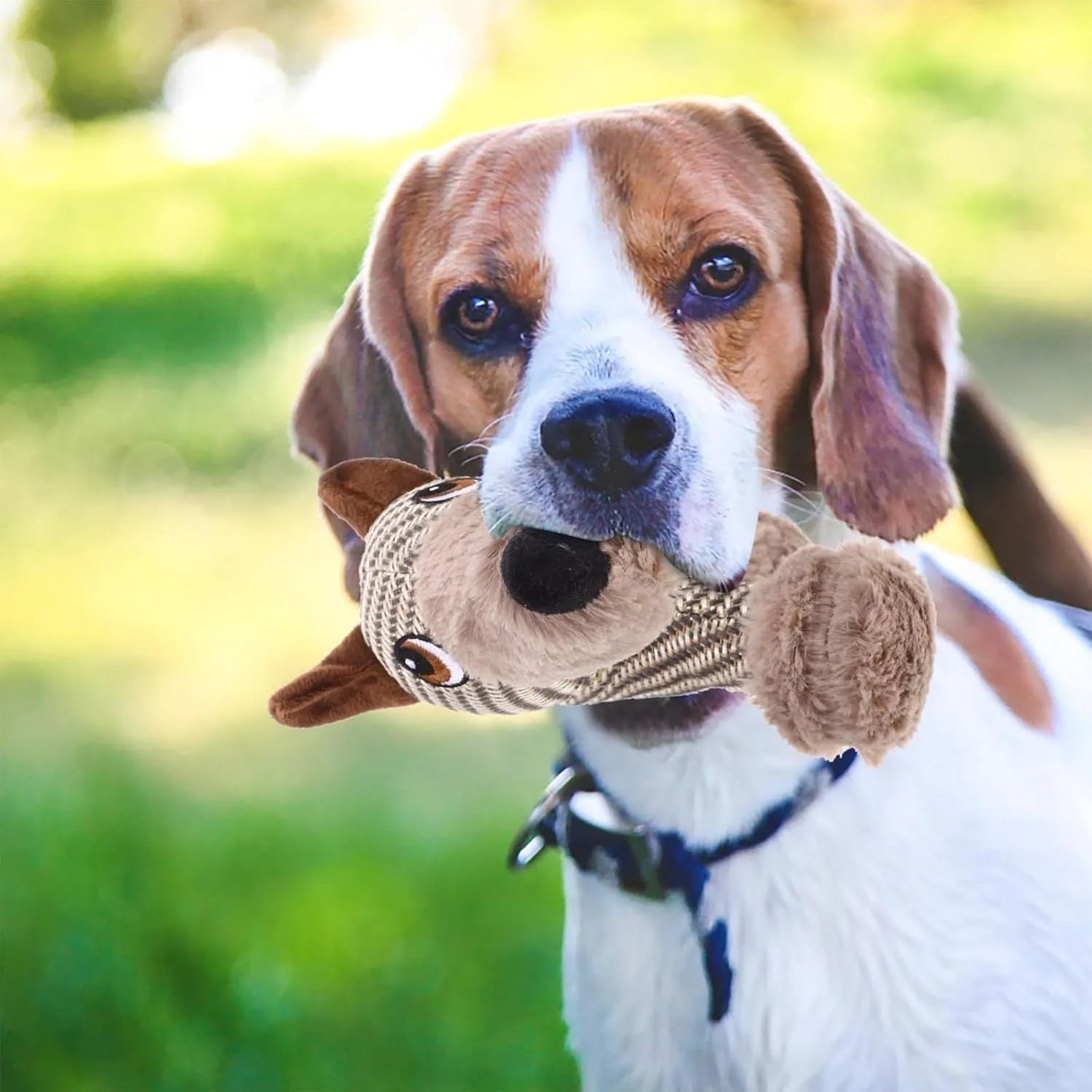 Monkey and puppy design plush dog toys with squeakers for large dogs
