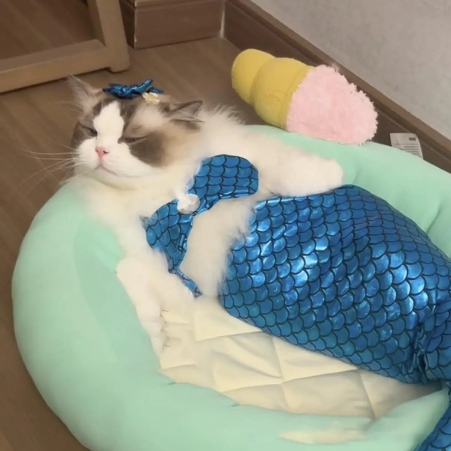 Blue pet mermaid costume with scale pattern fishtail on a small cat