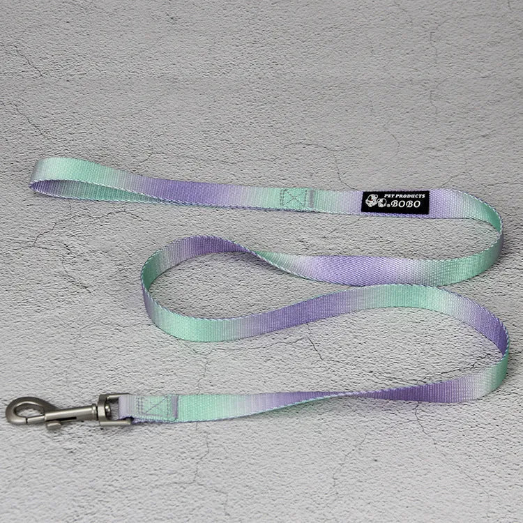 Gradient colour nylon dog leash showing pink-blue pattern with collar attachment