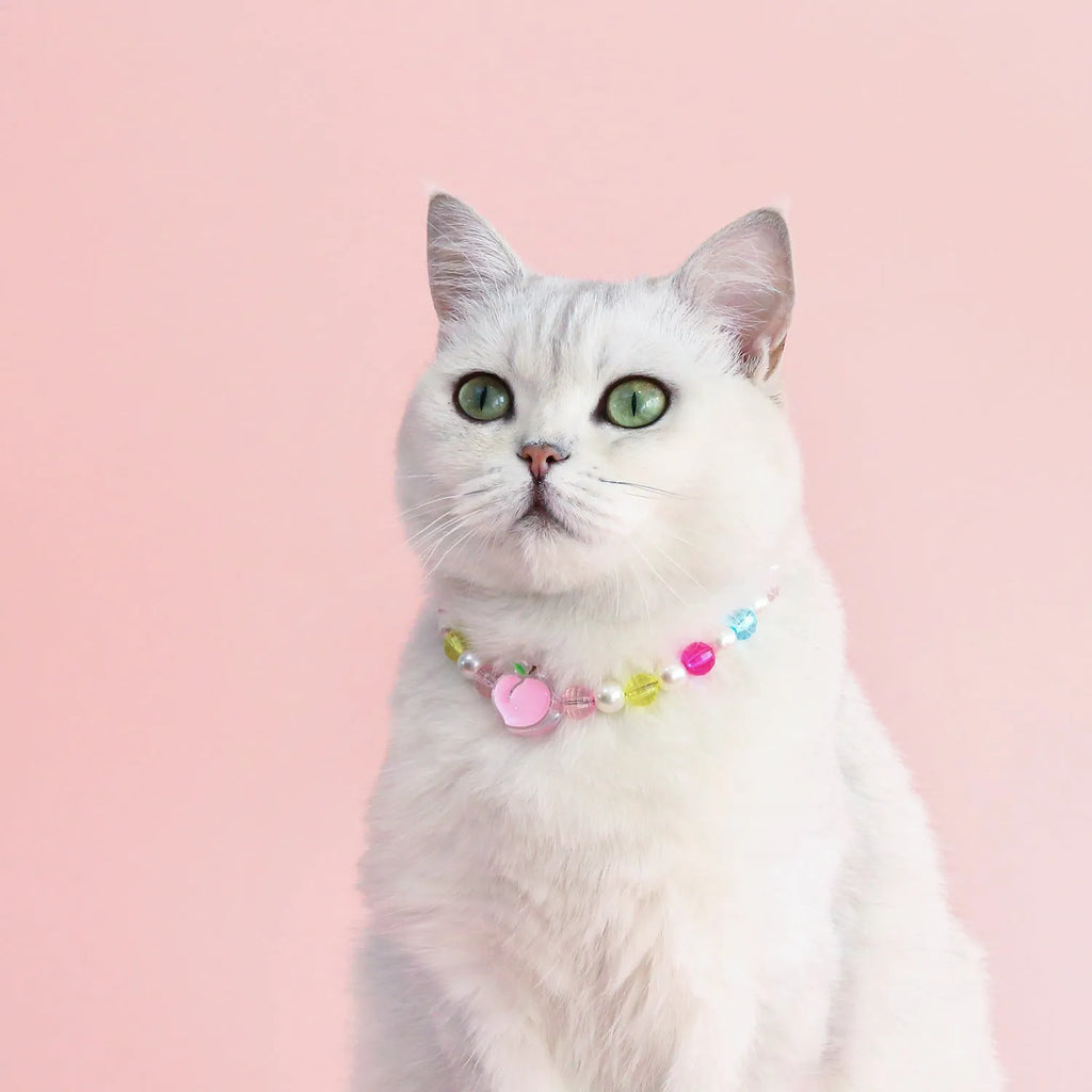 Colourful plastic bead pet necklace shown in peach, rainbow, and small flower patterns with an adjustable clasp.
